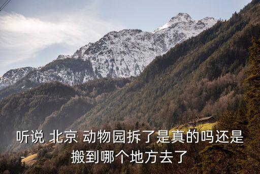 北京動(dòng)物園批發(fā)市場將遷移至河北什么地方