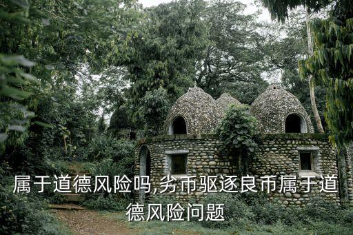 股票屬于道德風險嗎,劣幣驅逐良幣屬于道德風險問題