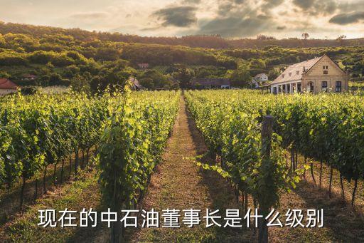 現(xiàn)在的中石油董事長是什么級別