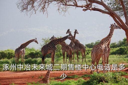 中國五礦集團(tuán)何文波