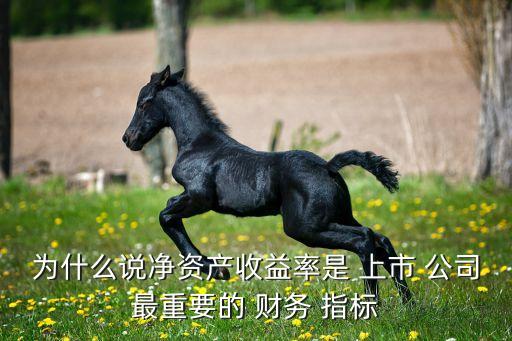 為什么說凈資產收益率是 上市 公司最重要的 財務 指標
