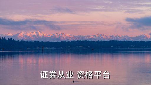 證券從業(yè) 資格平臺