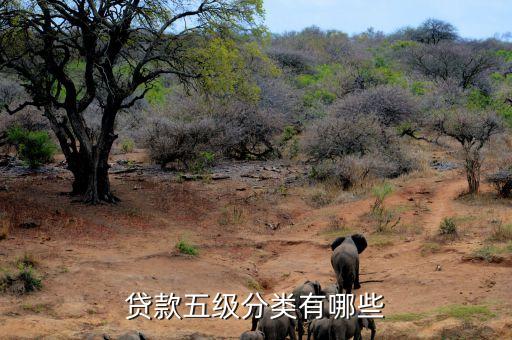 中國(guó)次級(jí)貸,美國(guó)次級(jí)貸危機(jī)全過程