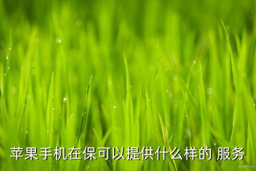 蘋果手機(jī)在?？梢蕴峁┦裁礃拥?服務(wù)