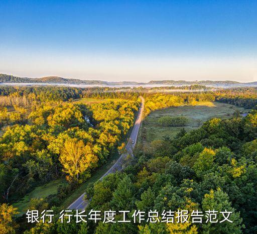 銀行行長來經(jīng)營分析會