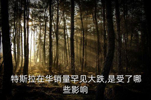  特斯拉在華銷量罕見大跌,是受了哪些影響