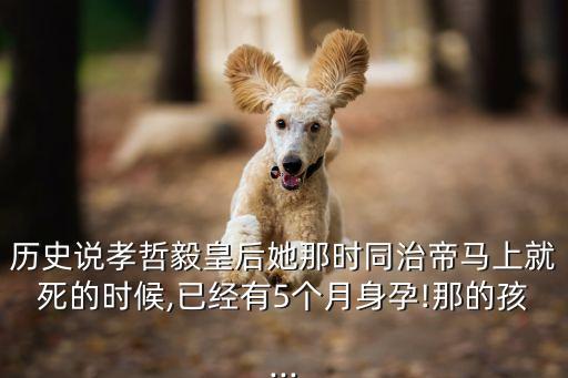 歷史說孝哲毅皇后她那時同治帝馬上就死的時候,已經(jīng)有5個月身孕!那的孩...