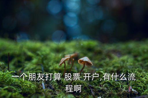 一個朋友打算 股票 開戶,有什么流程啊