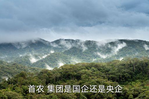  首農(nóng) 集團是國企還是央企