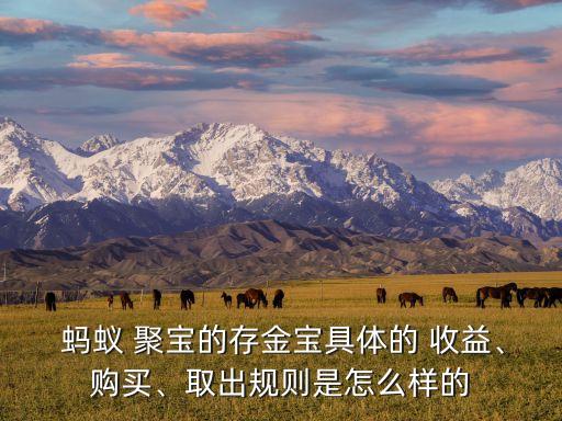  螞蟻 聚寶的存金寶具體的 收益、購買、取出規(guī)則是怎么樣的