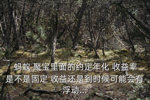  螞蟻 聚寶里面的約定年化 收益率是不是固定 收益還是到時候可能會有浮動...