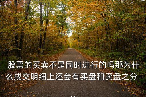 股票可以同時(shí)掛兩個(gè)賣單嗎