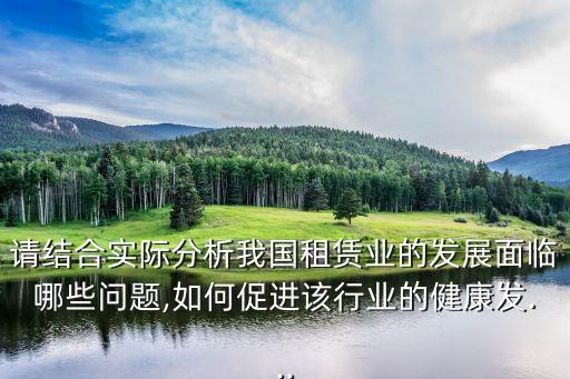 請結(jié)合實際分析我國租賃業(yè)的發(fā)展面臨哪些問題,如何促進該行業(yè)的健康發(fā)...