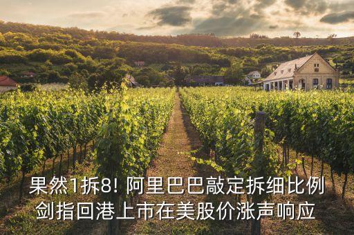 果然1拆8! 阿里巴巴敲定拆細比例劍指回港上市在美股價漲聲響應