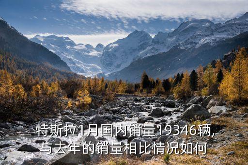  特斯拉1月國內(nèi)銷量19346輛,與去年的銷量相比情況如何
