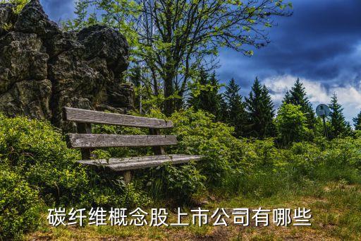 中國方舟集團(tuán)股票,方舟集團(tuán)股票代碼