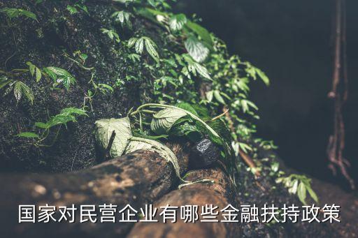 政府性擔(dān)?；?政府創(chuàng)業(yè)擔(dān)保基金是國(guó)家的嗎