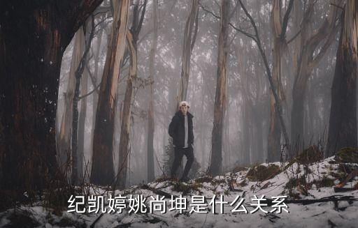 龍光集團(tuán)董事長(zhǎng)紀(jì)海鵬