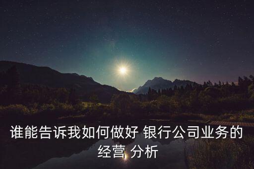 誰能告訴我如何做好 銀行公司業(yè)務(wù)的 經(jīng)營 分析