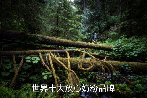 貝因美嬰童食品股份有限公司營(yíng)銷(xiāo)系統(tǒng)
