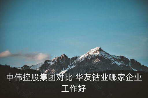 中偉控股集團對比 華友鈷業(yè)哪家企業(yè)工作好