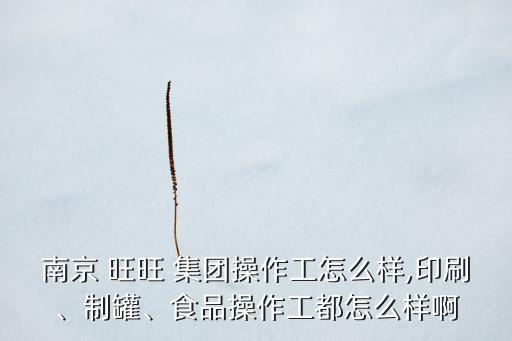 南京 旺旺 集團(tuán)操作工怎么樣,印刷、制罐、食品操作工都怎么樣啊