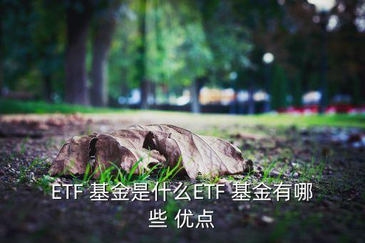ETF 基金是什么ETF 基金有哪些 優(yōu)點(diǎn)
