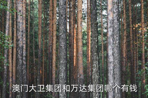  澳門大衛(wèi)集團和萬達(dá)集團哪個有錢