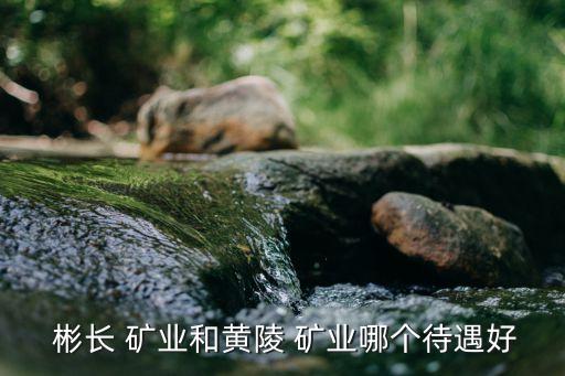 陜西彬長礦業(yè)集團有限公司煤化工公司,2、陜西彬長礦業(yè)集團有限公司