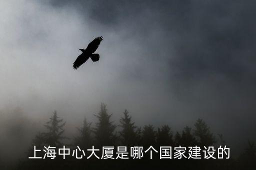  上海中心大廈是哪個(gè)國家建設(shè)的