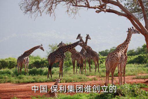 中國 保利集團誰創(chuàng)立的