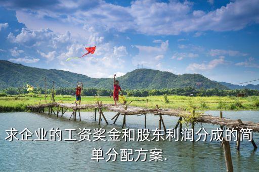 求企業(yè)的工資獎(jiǎng)金和股東利潤(rùn)分成的簡(jiǎn)單分配方案.