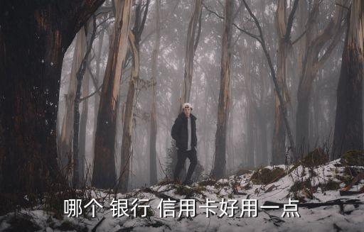 哪個 銀行 信用卡好用一點(diǎn)