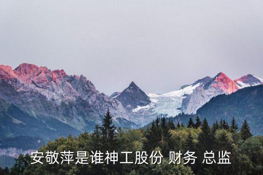 東岳集團財務(wù)總監(jiān)是誰,東岳財務(wù)總監(jiān)挪用資金