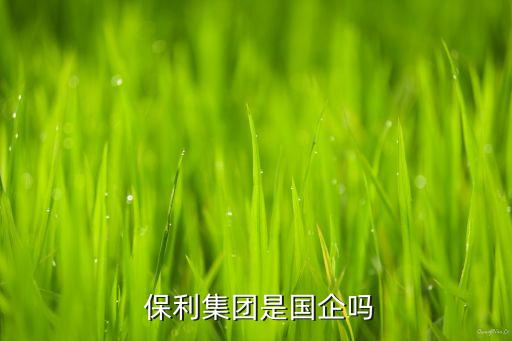  保利集團是國企嗎