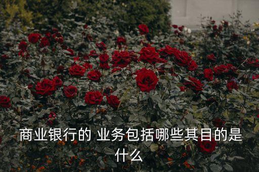  商業(yè)銀行的 業(yè)務包括哪些其目的是什么
