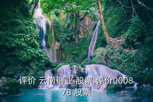 評價(jià) 云南銅業(yè) 股票,評價(jià)000878 股票