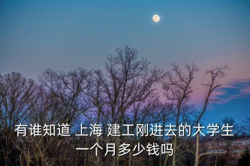 有誰知道 上海 建工剛進(jìn)去的大學(xué)生一個(gè)月多少錢嗎
