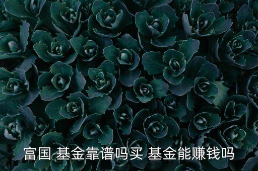 富國(guó) 基金靠譜嗎買 基金能賺錢(qián)嗎