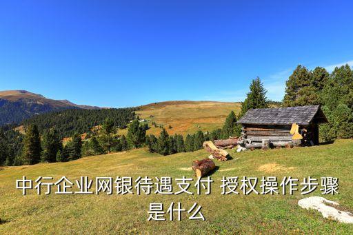 中行企業(yè)網銀待遇支付 授權操作步驟是什么