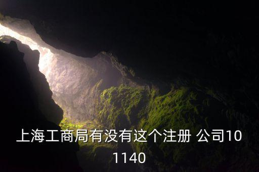 上海工商局有沒有這個(gè)注冊 公司101140