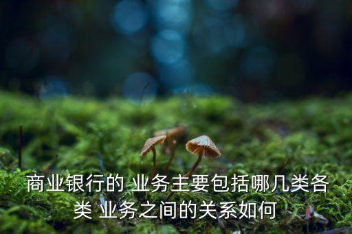  商業(yè)銀行的 業(yè)務主要包括哪幾類各類 業(yè)務之間的關系如何