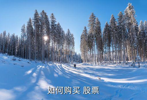如何購(gòu)買 股票
