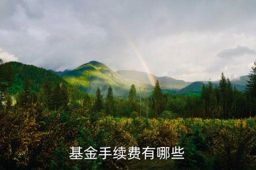 中國農(nóng)業(yè)銀行的貨幣基金最低認(rèn)購費(fèi)是多少