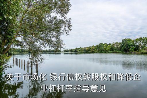 關(guān)于市場化 銀行債權(quán)轉(zhuǎn)股權(quán)和降低企業(yè)杠桿率指導意見