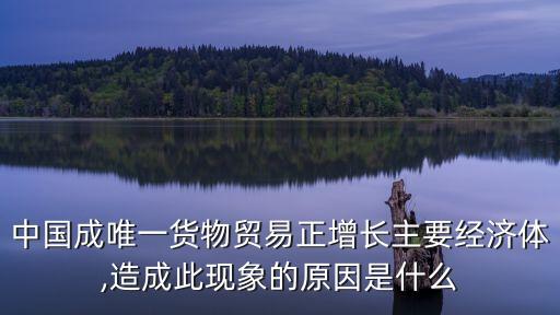 中國成唯一貨物貿易正增長主要經濟體,造成此現(xiàn)象的原因是什么
