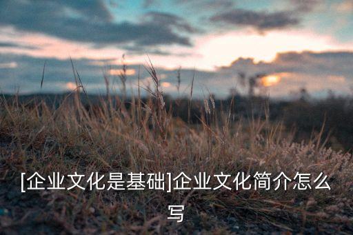 [企業(yè)文化是基礎]企業(yè)文化簡介怎么寫