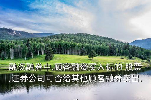 股票質押實施細則