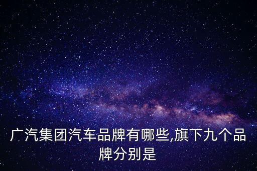 萬(wàn)向集團(tuán)下屬公司
