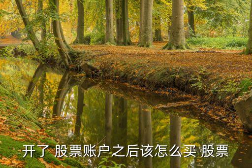 開(kāi)了 股票賬戶(hù)之后該怎么買(mǎi) 股票